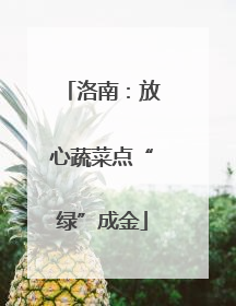 洛南：放心蔬菜点“绿”成金