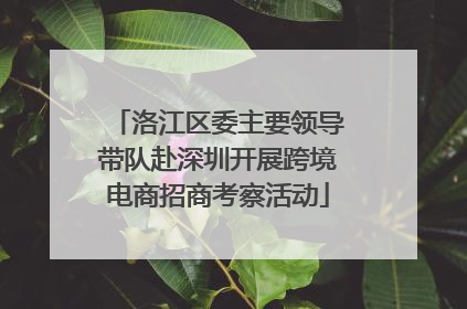 洛江区委主要领导带队赴深圳开展跨境电商招商考察活动