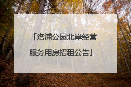 洛浦公园北岸经营服务用房招租公告