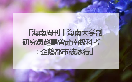 海南周刊丨海南大学副研究员赵鹏曾赴南极科考：企鹅都市破冰行
