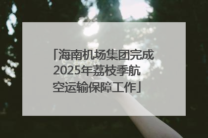 海南机场集团完成2025年荔枝季航空运输保障工作