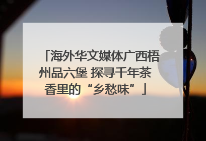 海外华文媒体广西梧州品六堡 探寻千年茶香里的“乡愁味”