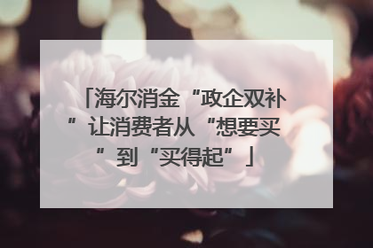 海尔消金“政企双补”让消费者从“想要买”到“买得起”