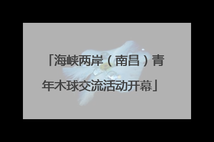 海峡两岸（南昌）青年木球交流活动开幕
