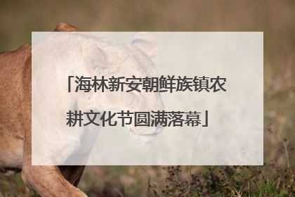 海林新安朝鲜族镇农耕文化节圆满落幕