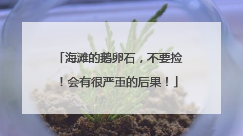 海滩的鹅卵石，不要捡！会有很严重的后果！