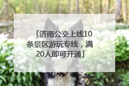 济南公交上线10条景区游玩专线，满20人即可开通