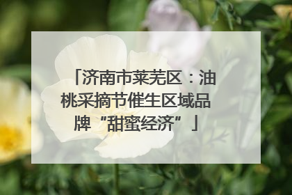 济南市莱芜区：油桃采摘节催生区域品牌“甜蜜经济”