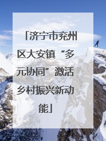 济宁市兖州区大安镇“多元协同”激活乡村振兴新动能