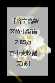 济宁高新区黄屯街道2.85万亩小麦收割完成