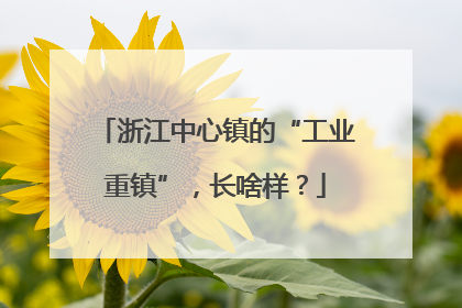浙江中心镇的“工业重镇”，长啥样？