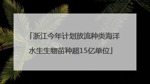 浙江今年计划放流种类海洋水生生物苗种超15亿单位