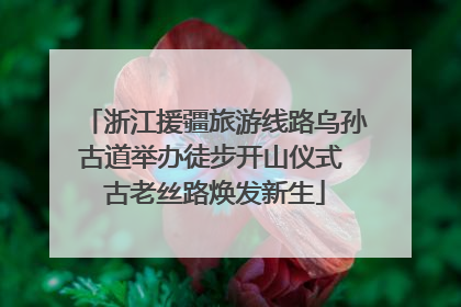 浙江援疆旅游线路乌孙古道举办徒步开山仪式 古老丝路焕发新生