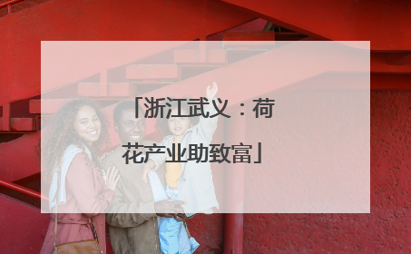 浙江武义：荷花产业助致富