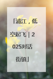 浦江，低空起飞｜2025对话街镇