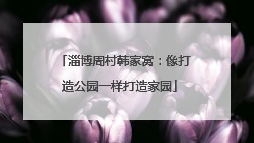 淄博周村韩家窝：像打造公园一样打造家园