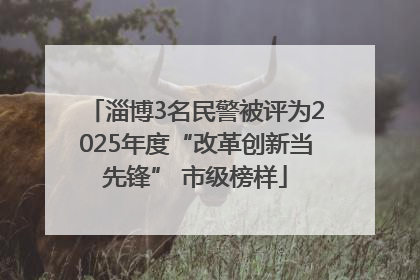 淄博3名民警被评为2025年度“改革创新当先锋” 市级榜样