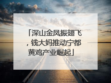 深山金凤振翅飞，钱大妈推动宁都黄鸡产业崛起
