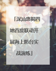 深汕惠揭四地首度联动开展海上防台实战演练