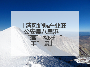 清风护航产业旺 公安县八里港 “莲” 动好 “丰” 景
