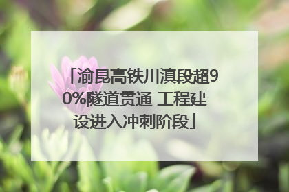 渝昆高铁川滇段超90%隧道贯通 工程建设进入冲刺阶段