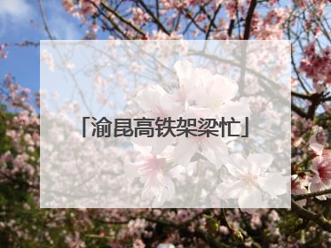 渝昆高铁架梁忙