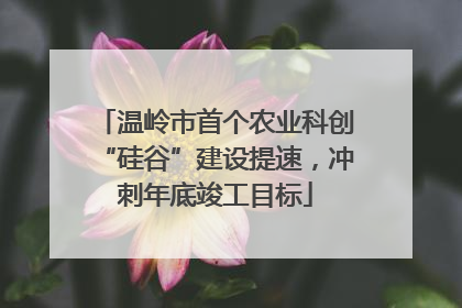 温岭市首个农业科创“硅谷”建设提速，冲刺年底竣工目标