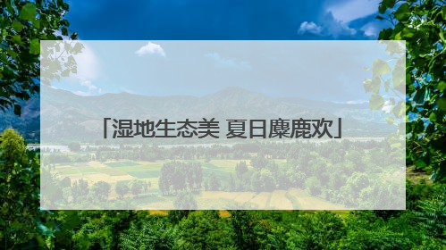 湿地生态美 夏日麋鹿欢