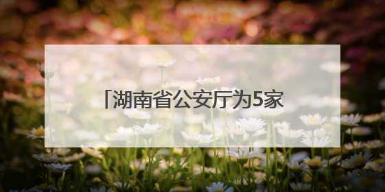 湖南省公安厅为5家非洲驻湘机构颁发驻湘代表处登记证书