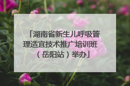湖南省新生儿呼吸管理适宜技术推广培训班（岳阳站）举办