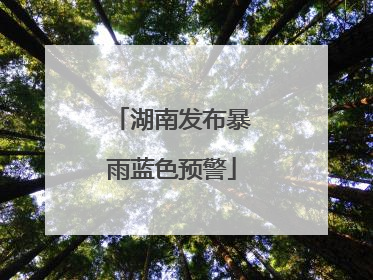 湖南发布暴雨蓝色预警