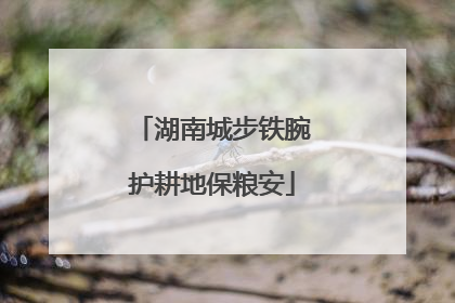 湖南城步铁腕护耕地保粮安
