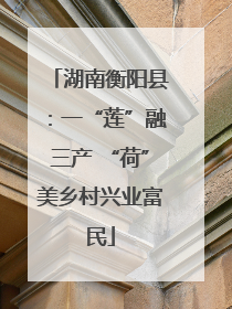 湖南衡阳县：一“莲”融三产 “荷”美乡村兴业富民