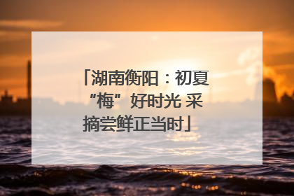 湖南衡阳：初夏“梅”好时光 采摘尝鲜正当时