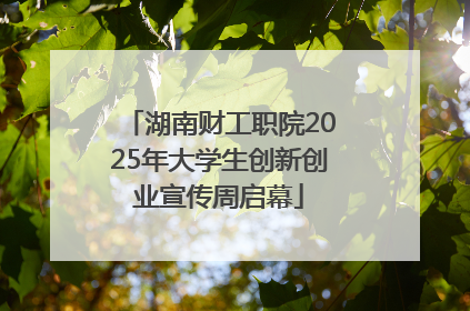 湖南财工职院2025年大学生创新创业宣传周启幕