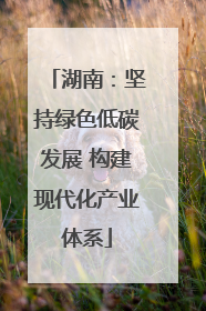 湖南：坚持绿色低碳发展 构建现代化产业体系