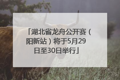 湖北省龙舟公开赛（阳新站）将于5月29日至30日举行
