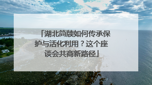 湖北简牍如何传承保护与活化利用？这个座谈会共商新路径