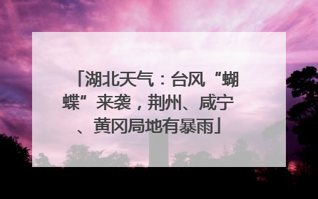 湖北天气：台风“蝴蝶”来袭，荆州、咸宁、黄冈局地有暴雨