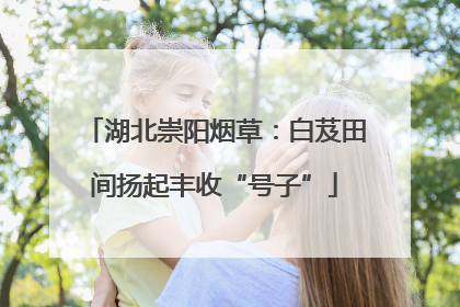 湖北崇阳烟草：白芨田间扬起丰收“号子”