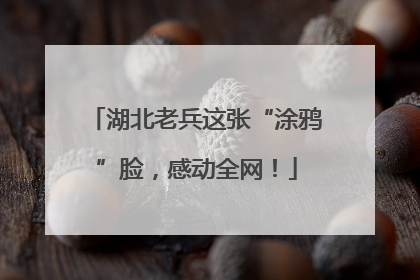 湖北老兵这张“涂鸦”脸，感动全网！
