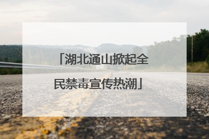 湖北通山掀起全民禁毒宣传热潮