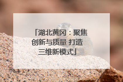 湖北黄冈：聚焦创新与质量 打造三维新模式