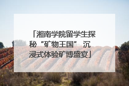 湘南学院留学生探秘“矿物王国” 沉浸式体验矿博盛宴
