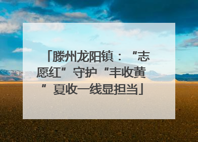 滕州龙阳镇：“志愿红”守护“丰收黄”夏收一线显担当