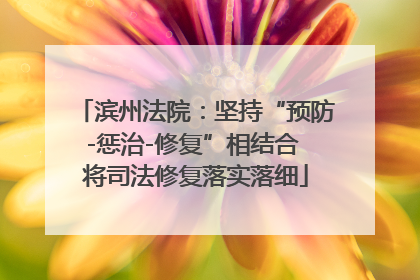 滨州法院：坚持“预防-惩治-修复”相结合 将司法修复落实落细