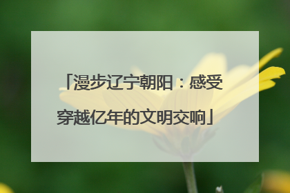漫步辽宁朝阳：感受穿越亿年的文明交响