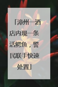 漳州一酒店内现一条活鳄鱼，警民联手快速处置