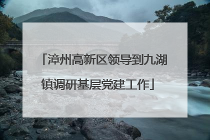 漳州高新区领导到九湖镇调研基层党建工作