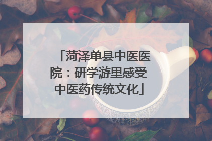 菏泽单县中医医院：研学游里感受中医药传统文化